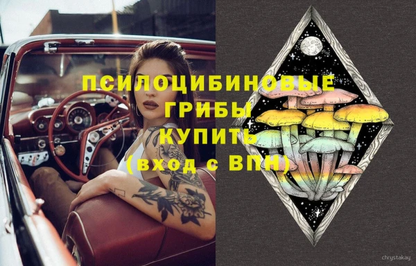 кокс Абаза