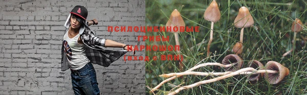 PSILOCYBIN Переславль-Залесский