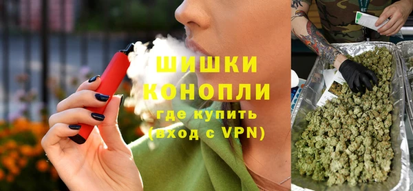 PSILOCYBIN Переславль-Залесский